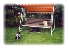 Oben ist der Gr��te