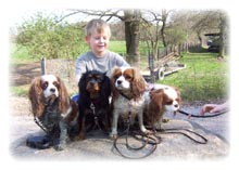 Barina, Vicky, Enchante, Eddy