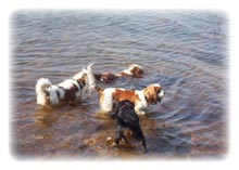 Abk�hlung im Sommer 2003