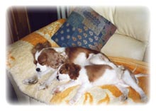 Enchante und Tochter Evita