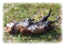 Barina nach dem Schlammbad